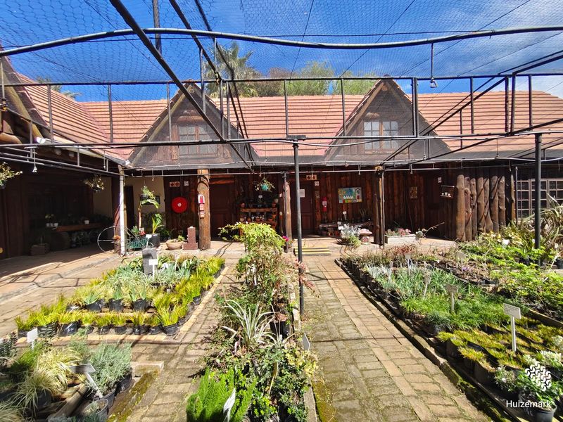 An outdoor retail nursery area featuring a paved walkway, timber-clad building facade, and overhead shade netting structure.