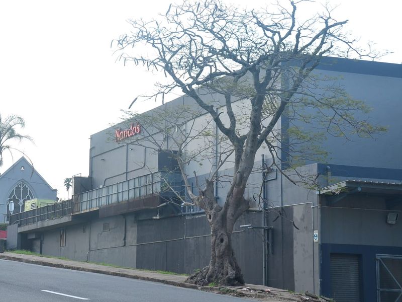 Street-level view of a commercial building facade featuring prominent signage, metal security railings, and roller shutters.