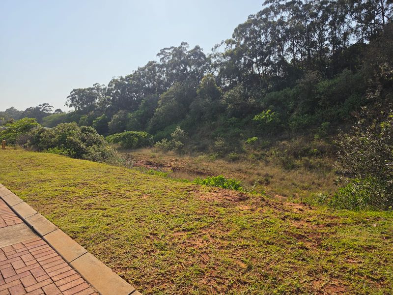 A view of a landscaped garden area featuring a paved walkway and a natural sloped terrain with mature trees.