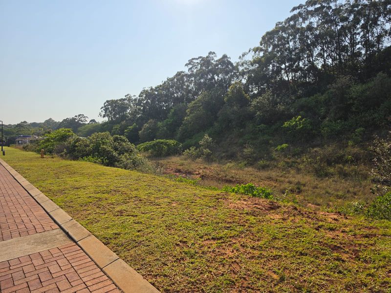A view of the paved walkway and landscaped verge bordering the commercial vacant land, featuring established trees and natural vegetation.