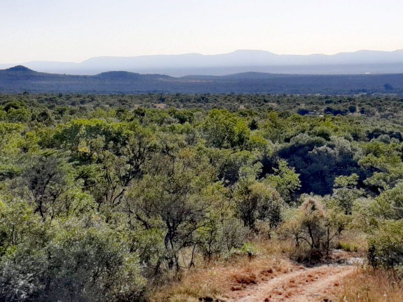 “Your own piece of Bushveld Paradise” - Photo 7