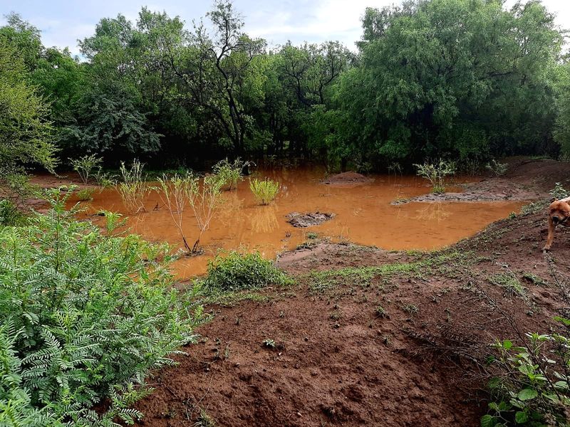 “Your own piece of Bushveld Paradise” - Photo 8