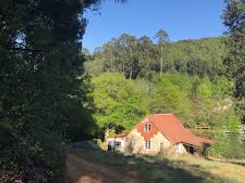 39 Hectare Commercial Gem in Magoebaskloof - Photo 7