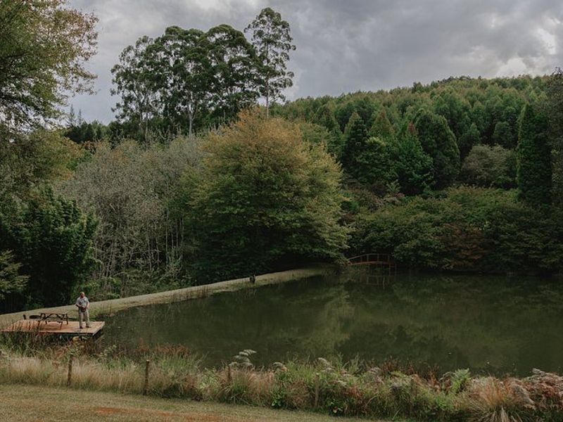 39 Hectare Commercial Gem in Magoebaskloof - Photo 3