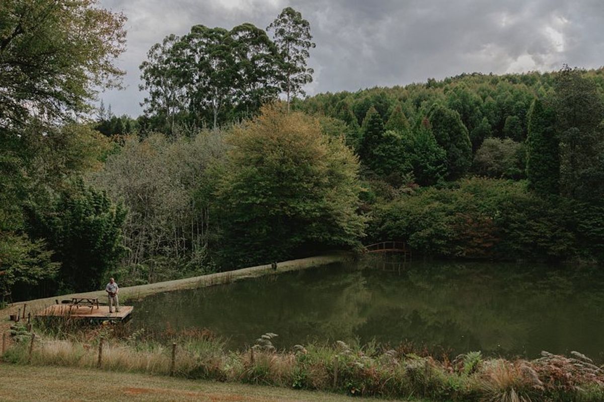 39 Hectare Commercial Gem in Magoebaskloof - Photo 3