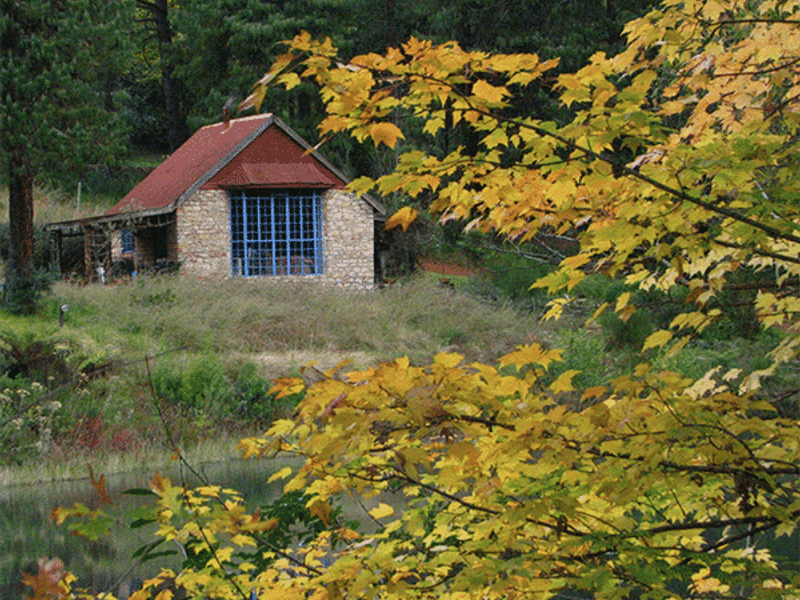 39 Hectare Commercial Gem in Magoebaskloof - Photo 4