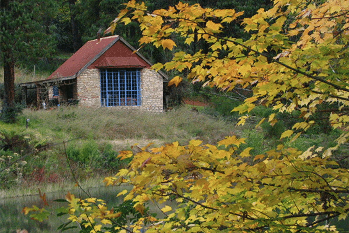 39 Hectare Commercial Gem in Magoebaskloof - Photo 4