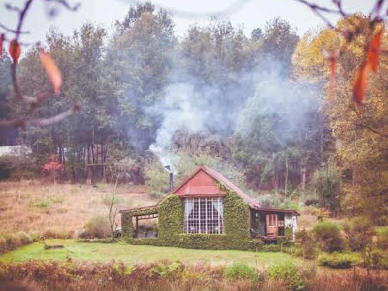 39 Hectare Commercial Gem in Magoebaskloof - Photo 2