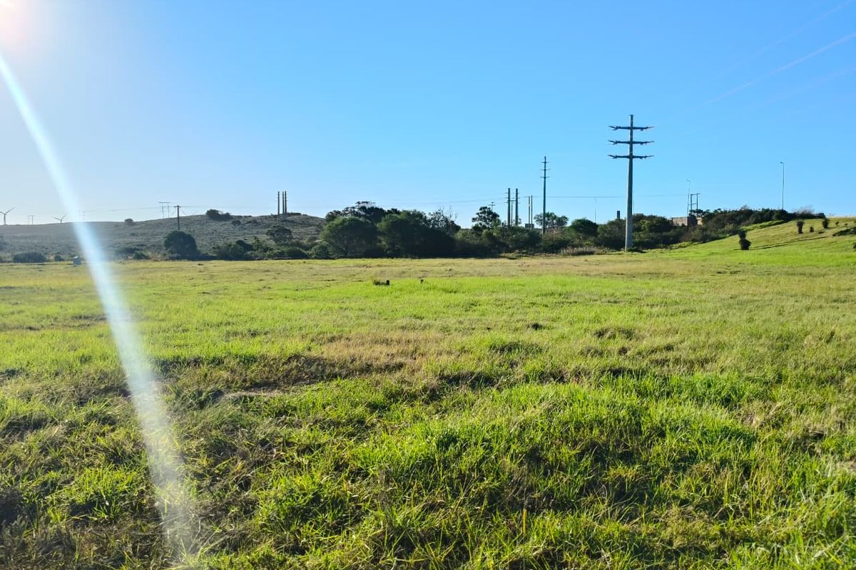 A wide-angle view of a vacant commercial land plot featuring open grassy terrain and visible overhead power lines.