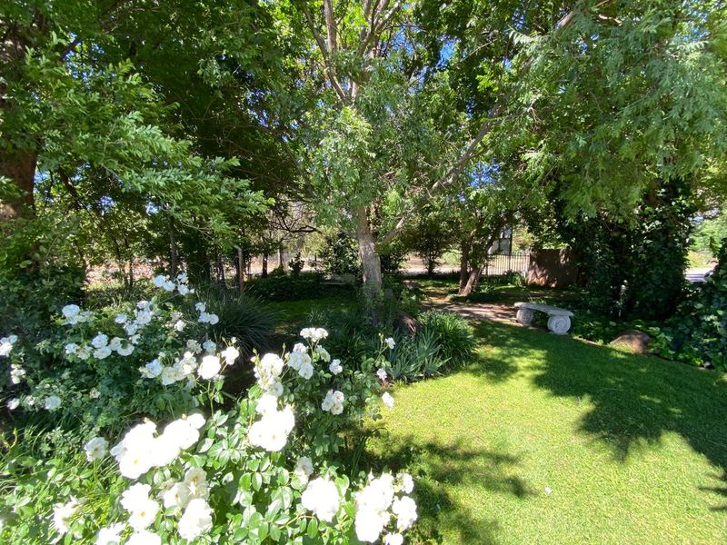 EXTRAORDINARY HOSPITALITY INVESTMENT FOR SALE! - Photo 3