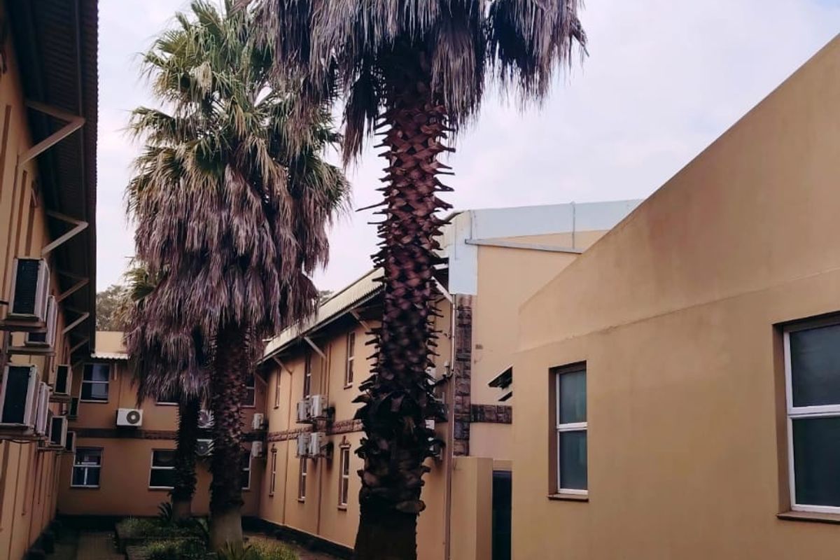 An exterior view of a hotel courtyard featuring paved walkways, raised garden beds with mature palm trees, and multiple wall-mounted air conditioning units.