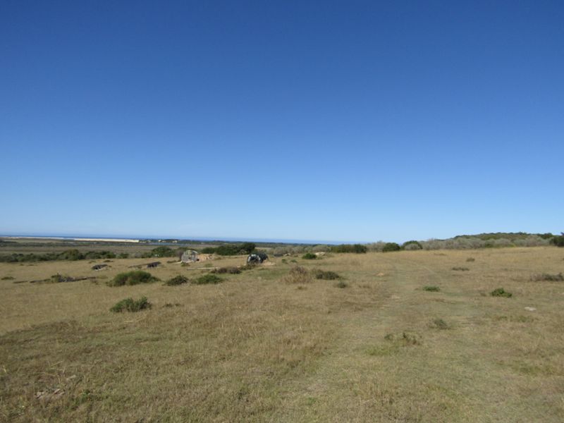 African Coastal Paradise - Photo 6