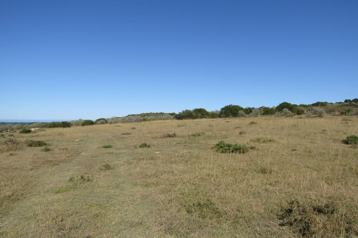 African Coastal Paradise - Photo 5