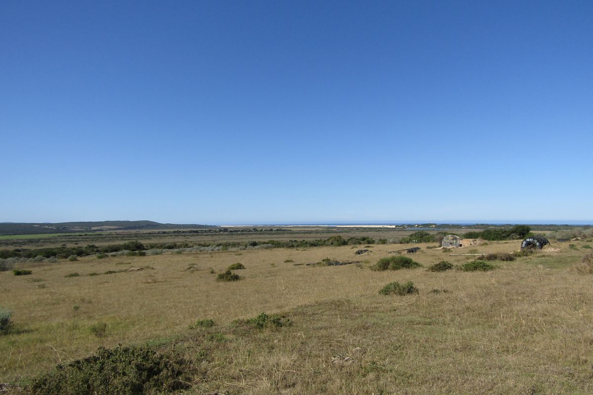 African Coastal Paradise - Photo 3