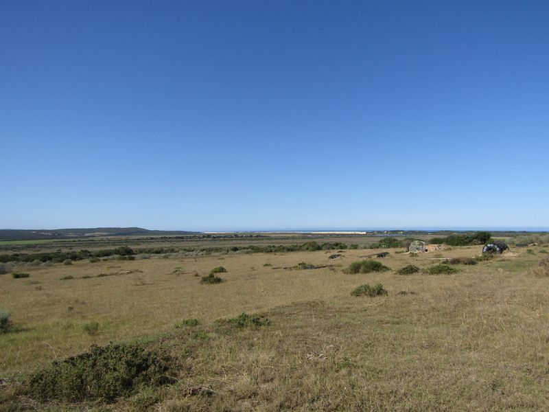 African Coastal Paradise - Photo 3