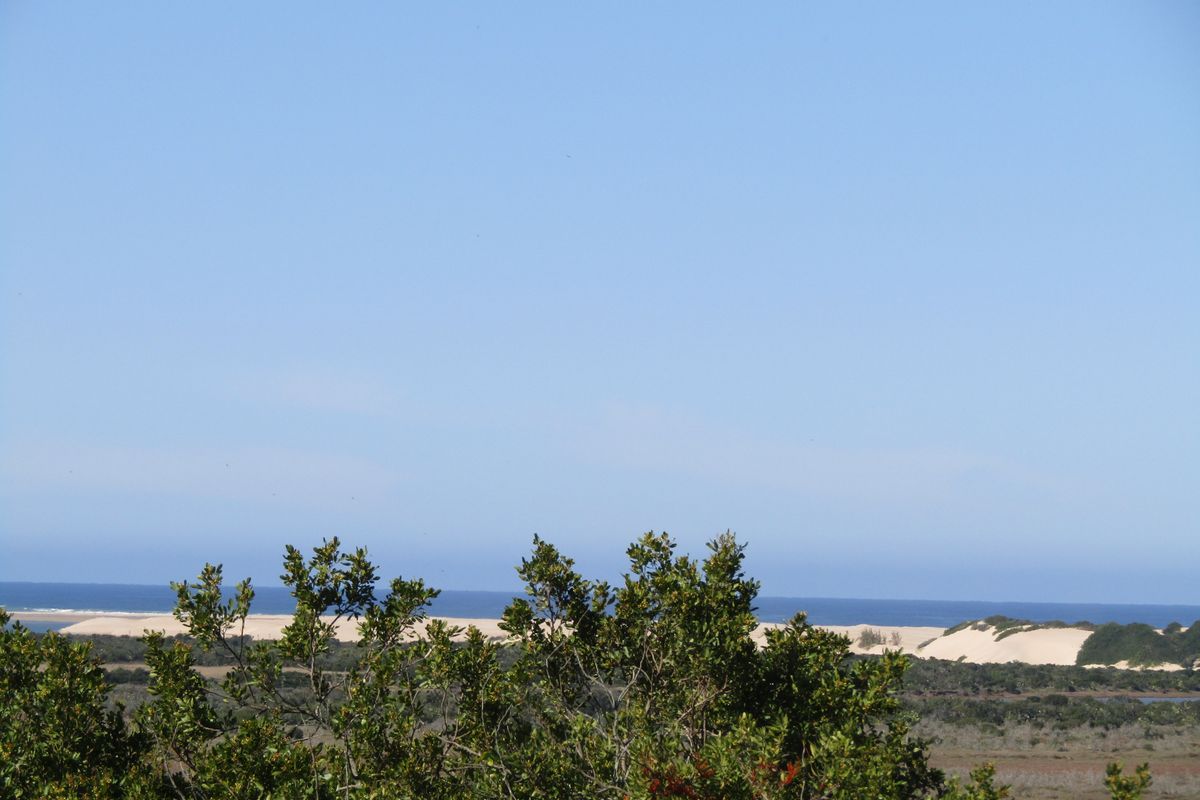African Coastal Paradise - Photo 2