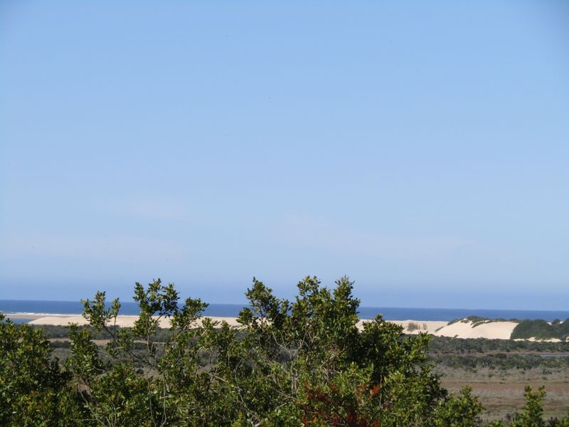 African Coastal Paradise - Photo 2