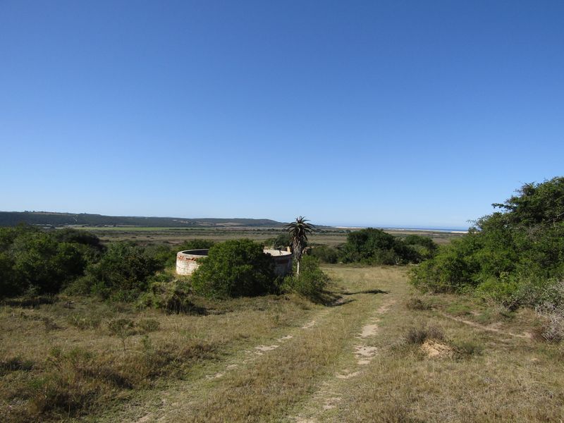 African Coastal Paradise - Photo 10