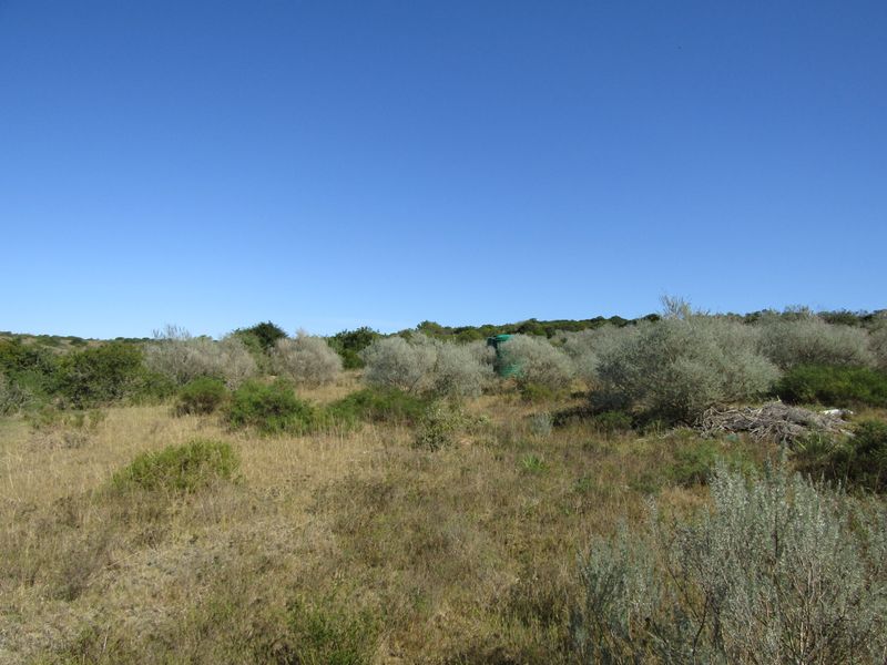 African Coastal Paradise - Photo 9
