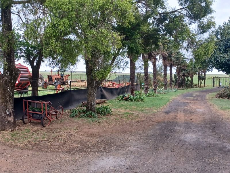 Excecutive style smallholding in Hattingspruit for sale - Photo 2