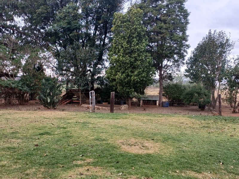 Excecutive style smallholding in Hattingspruit for sale - Photo 10