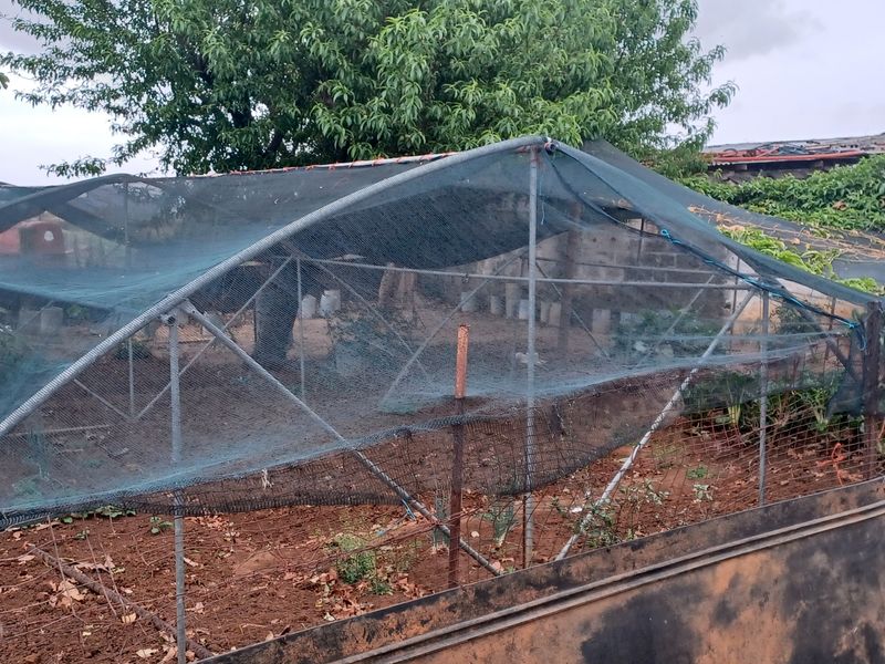 Excecutive style smallholding in Hattingspruit for sale - Photo 9