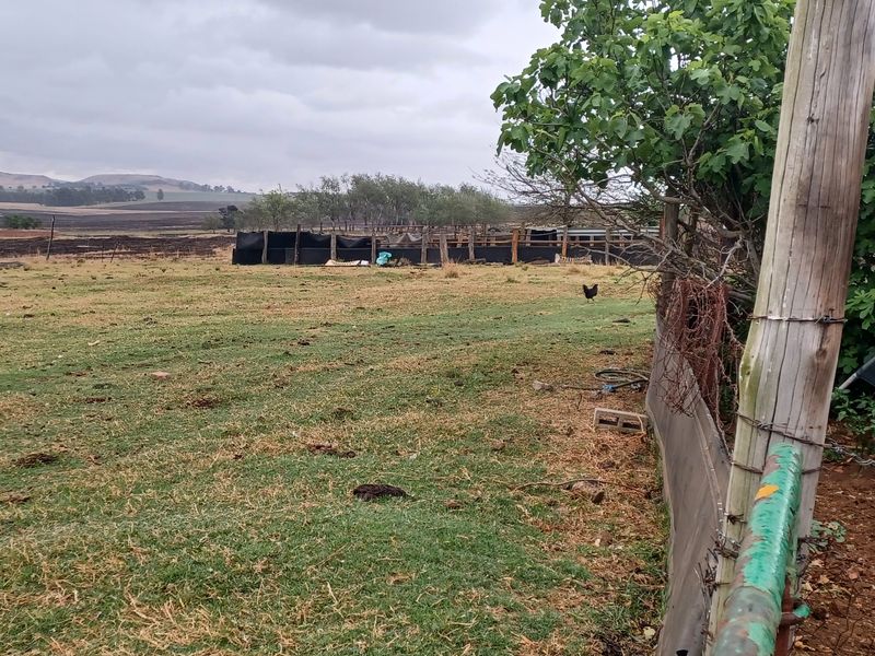 Excecutive style smallholding in Hattingspruit for sale - Photo 6