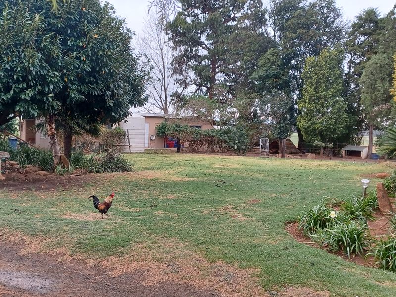 Excecutive style smallholding in Hattingspruit for sale - Photo 7