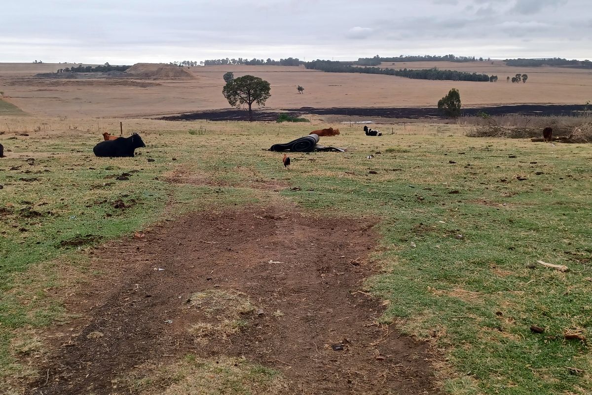 Excecutive style smallholding in Hattingspruit for sale - Photo 5