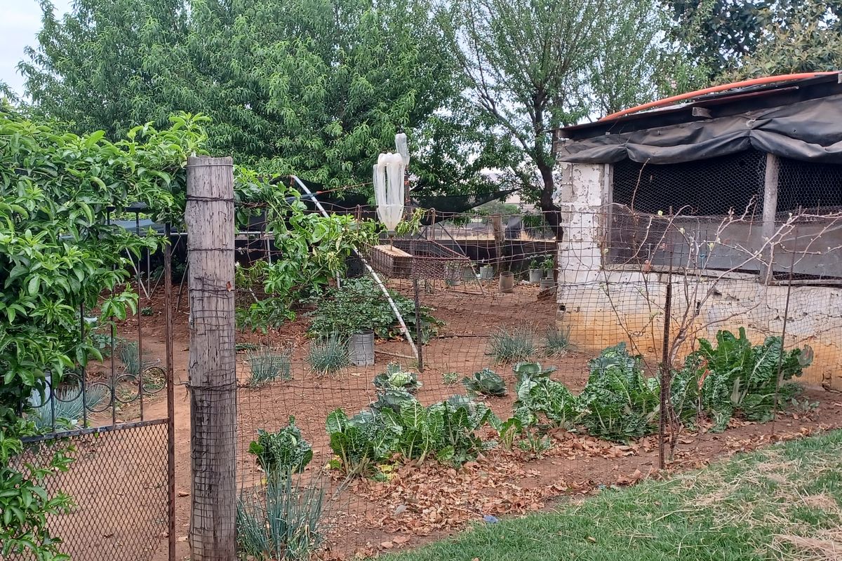 Excecutive style smallholding in Hattingspruit for sale - Photo 4