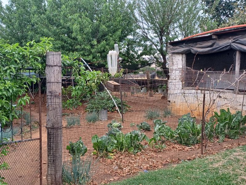 Excecutive style smallholding in Hattingspruit for sale - Photo 4