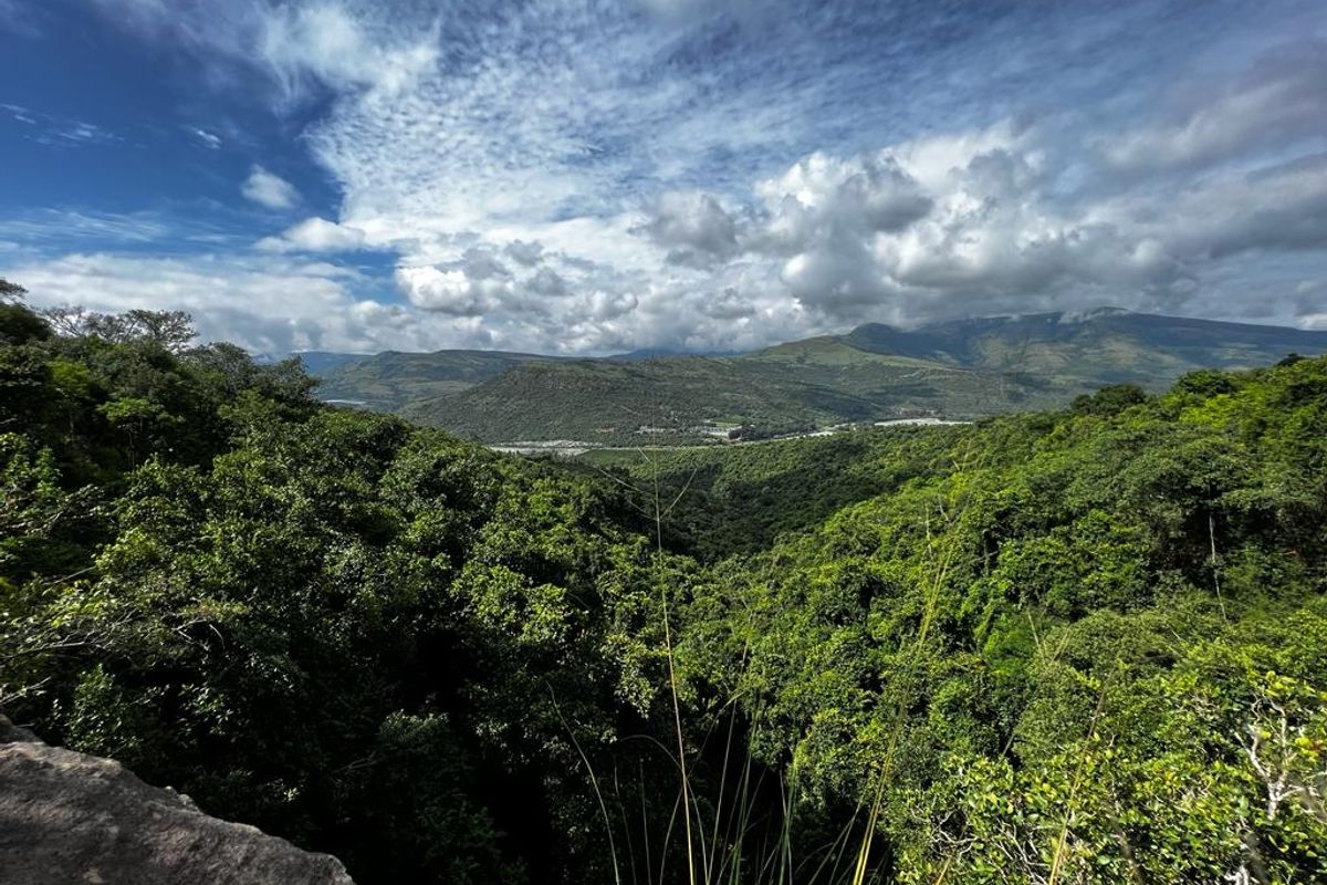 Charming farm for sale in The Schoemanskloof - Photo 2