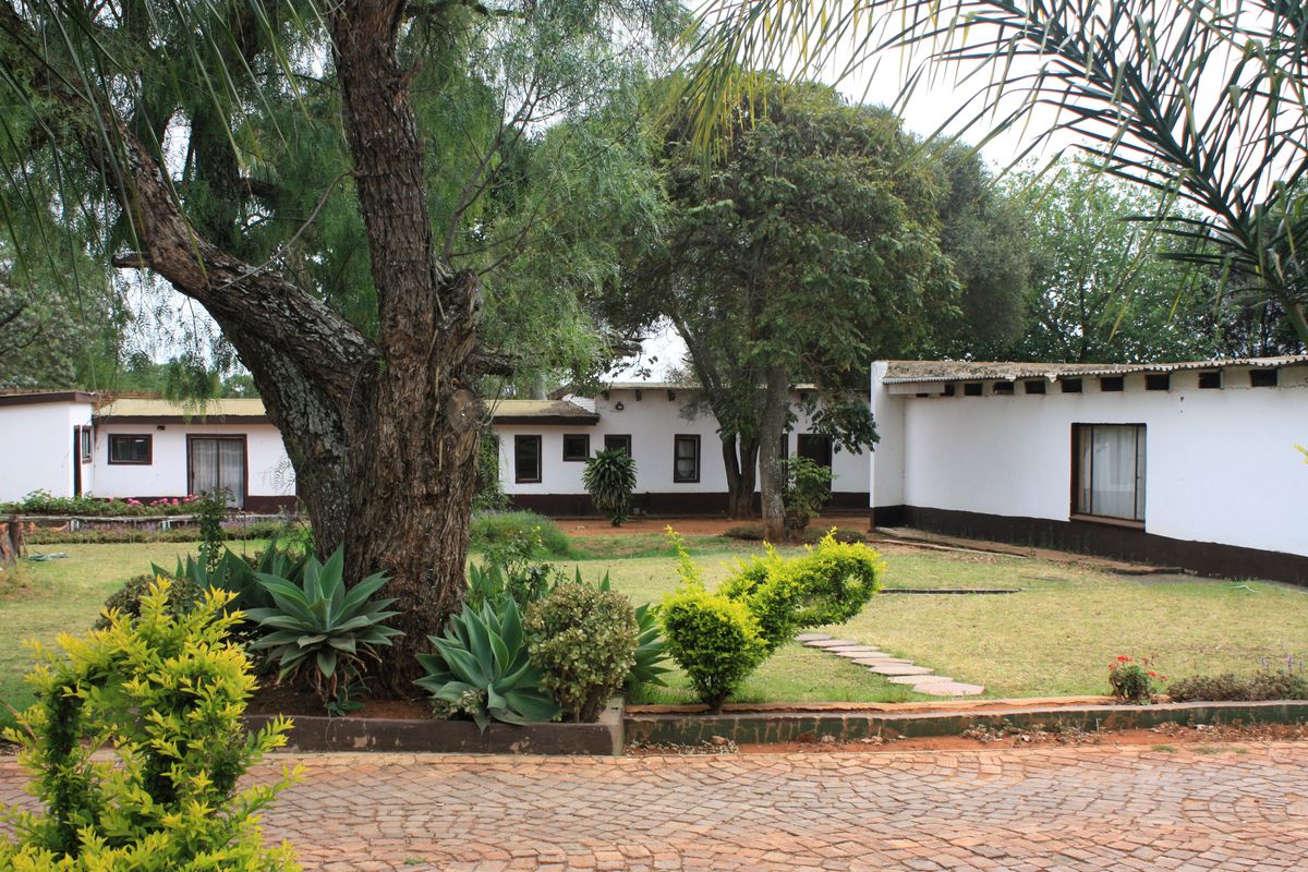 A view of the rear garden area featuring mature trees, a paved driveway, and a stone pathway leading towards the main dwelling structure.