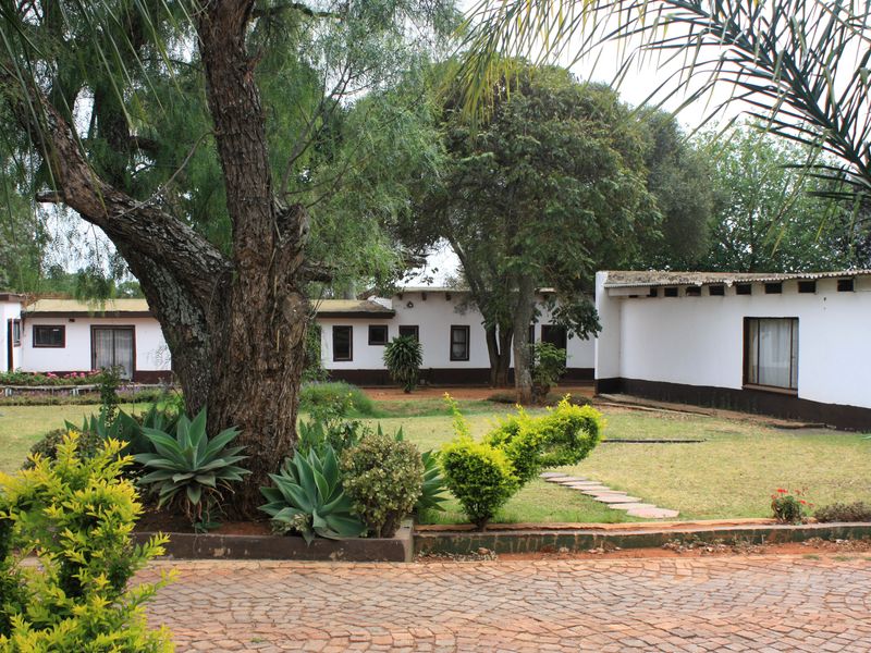 A view of the rear garden area featuring mature trees, a paved driveway, and a stone pathway leading towards the main dwelling structure.