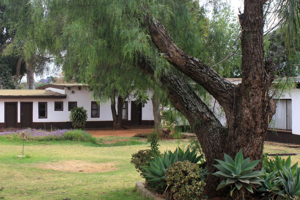 A view of the rear garden and building exterior, featuring mature trees, landscaped beds, and a single-story structure with a traditional finish.