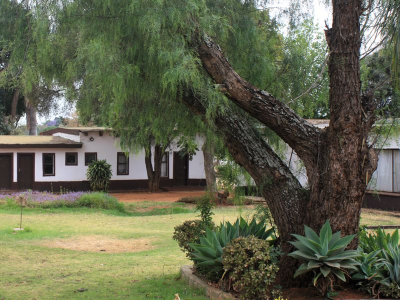 A view of the rear garden and building exterior, featuring mature trees, landscaped beds, and a single-story structure with a traditional finish.