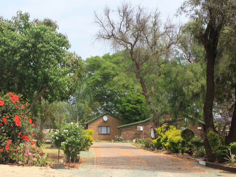 A view of the front exterior of the property, featuring a brick facade, a paved driveway, and a well-established garden with mature trees.