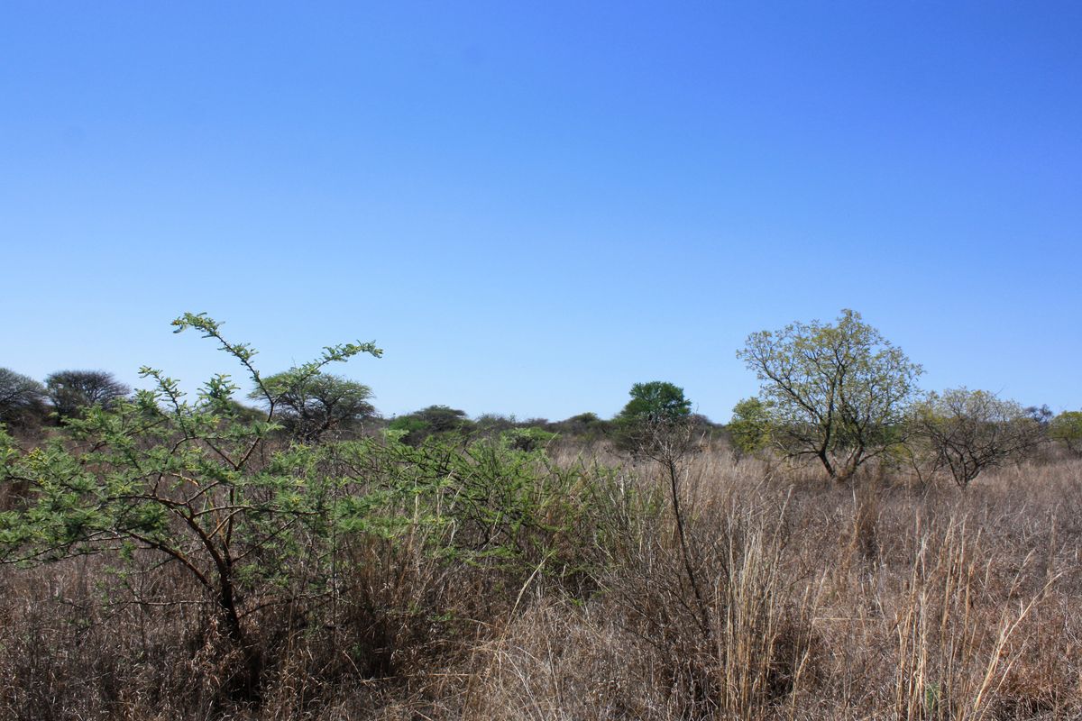 Prime Small Holding for Sale in Kalkfontein AH, Polokwane - Offering Endless Potential - Photo 3