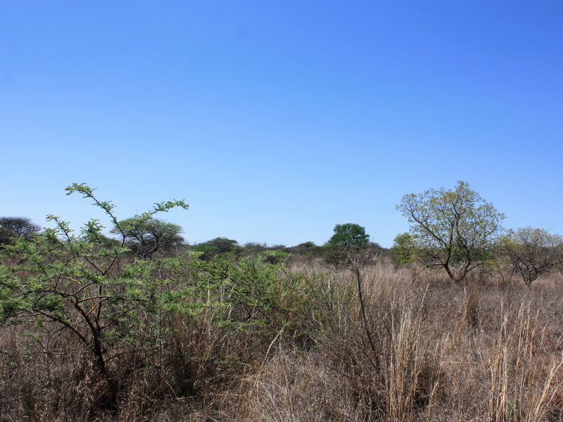 Prime Small Holding for Sale in Kalkfontein AH, Polokwane - Offering Endless Potential - Photo 3