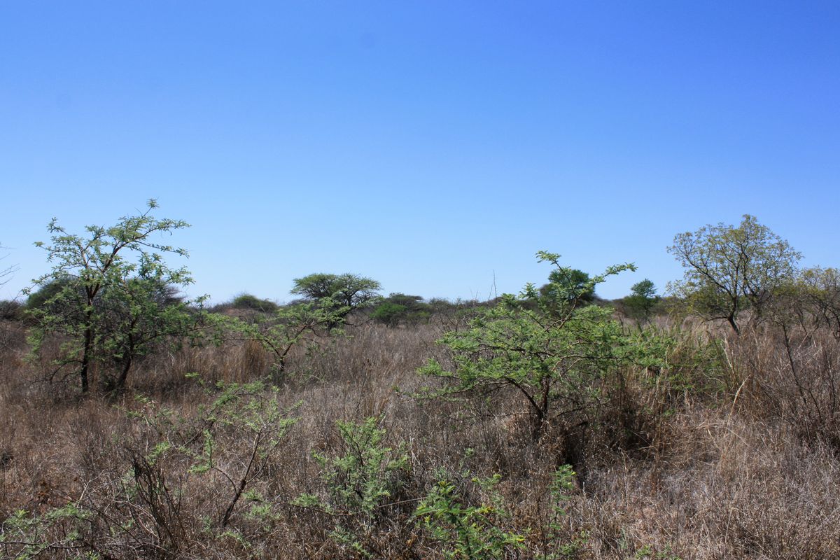 Prime Small Holding for Sale in Kalkfontein AH, Polokwane - Offering Endless Potential - Photo 4