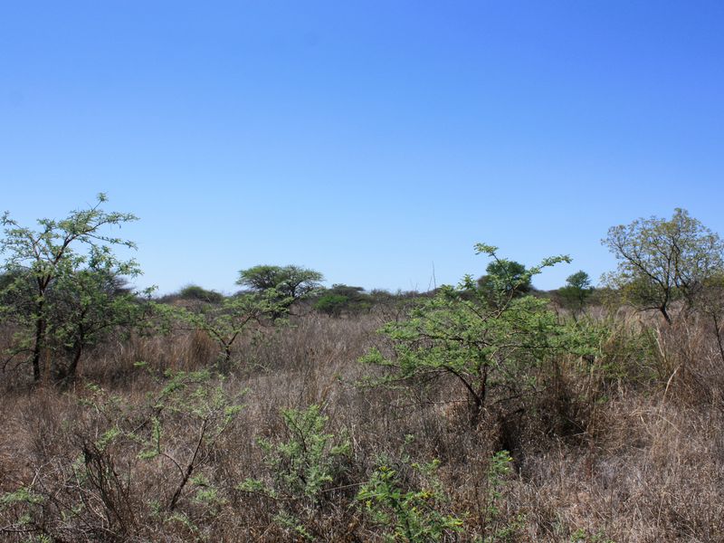 Prime Small Holding for Sale in Kalkfontein AH, Polokwane - Offering Endless Potential - Photo 4