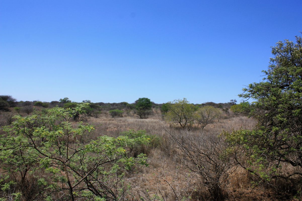 Prime Small Holding for Sale in Kalkfontein AH, Polokwane - Offering Endless Potential - Photo 5