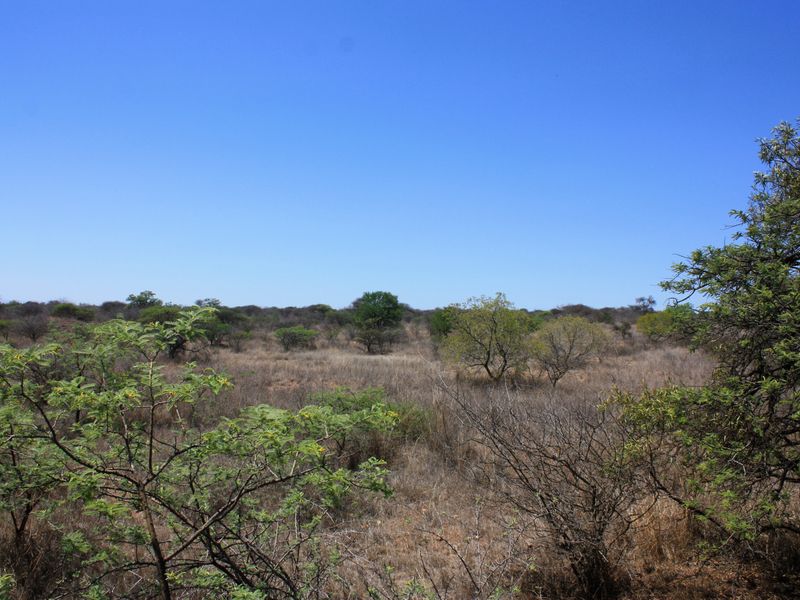 Prime Small Holding for Sale in Kalkfontein AH, Polokwane - Offering Endless Potential - Photo 5