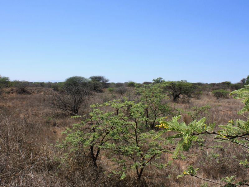 Prime Small Holding for Sale in Kalkfontein AH, Polokwane - Offering Countless Possibilities - Photo 5