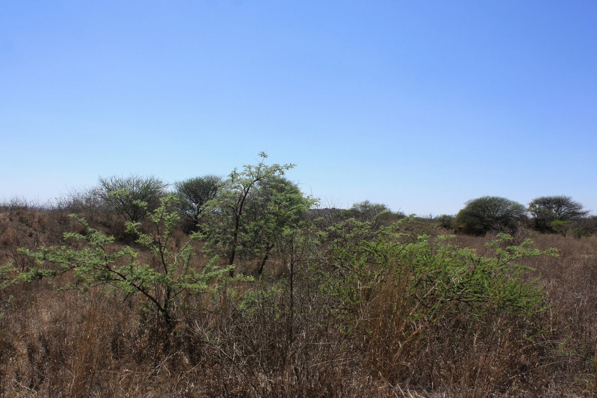 Prime Small Holding for Sale in Kalkfontein AH, Polokwane - Offering Countless Possibilities - Photo 3