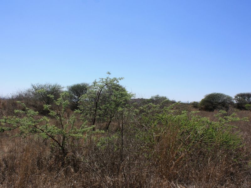 Prime Small Holding for Sale in Kalkfontein AH, Polokwane - Offering Countless Possibilities - Photo 3