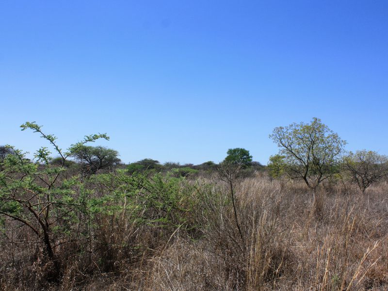 Prime Small Holding for Sale in Kalkfontein AH, Polokwane - Offering Countless Possibilities - Photo 2