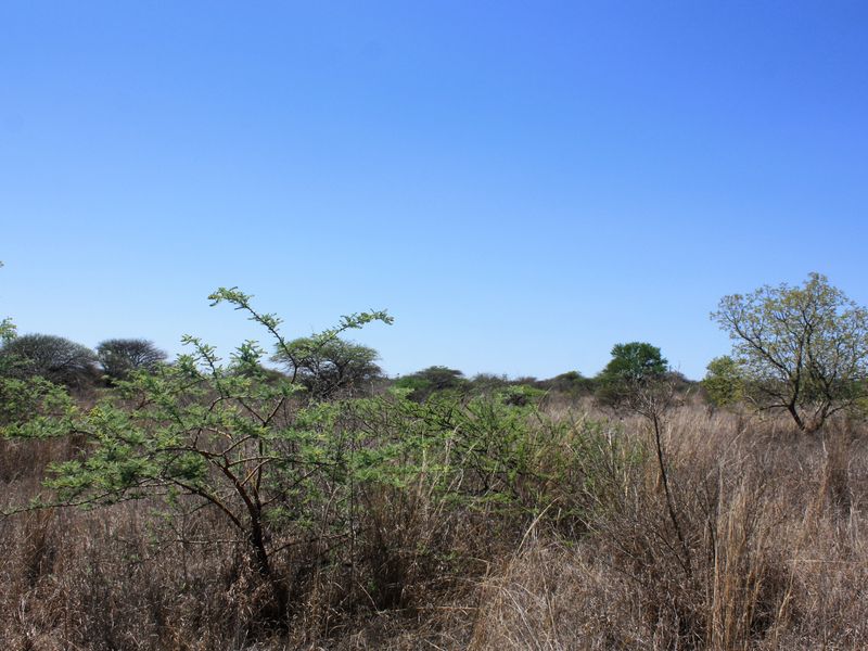 Prime Small Holding for Sale in Kalkfontein AH, Polokwane - Offering Countless Possibilities - Photo 8