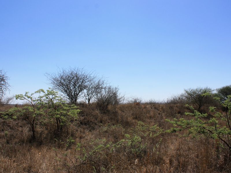 Prime Small Holding for Sale in Kalkfontein AH, Polokwane - Offering Countless Possibilities - Photo 6