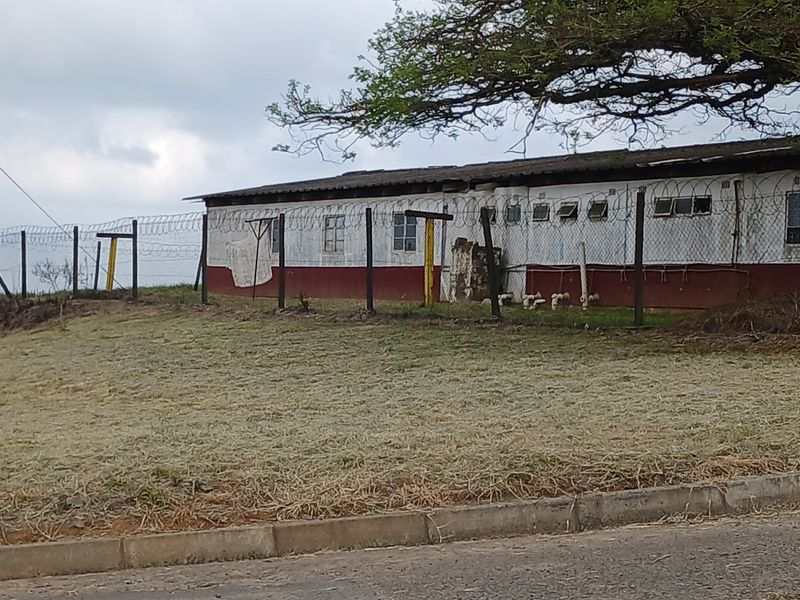 This 2.76 Ha farm perfect for Logistic and transport business operating between Melmoth and Richards - Photo 6
